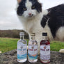 Bude Gin Miniature Gift Pack